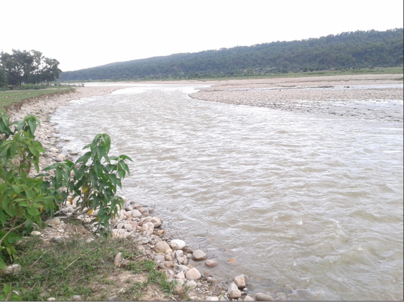 Kamala river