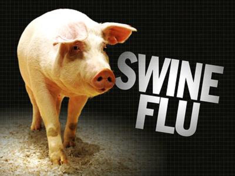 Swine flu1