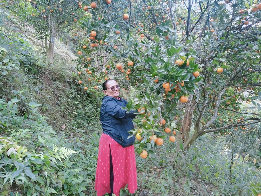 २९ वर्ष बालबालिकासँग, अहिले सुन्तलासँग रमाउँदै ‘तारा’