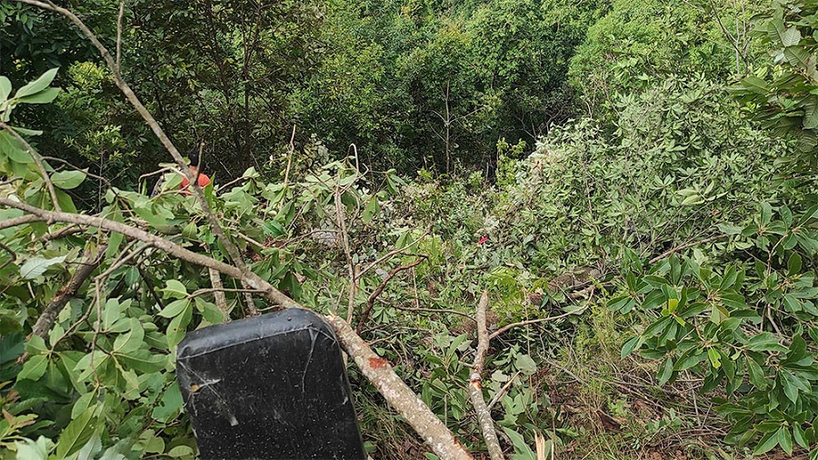 पाल्पाको रिब्दीकोटमा बस दुर्घटना हुँदा ६ जना यात्रुको मृत्यु, १७ जना घाइते