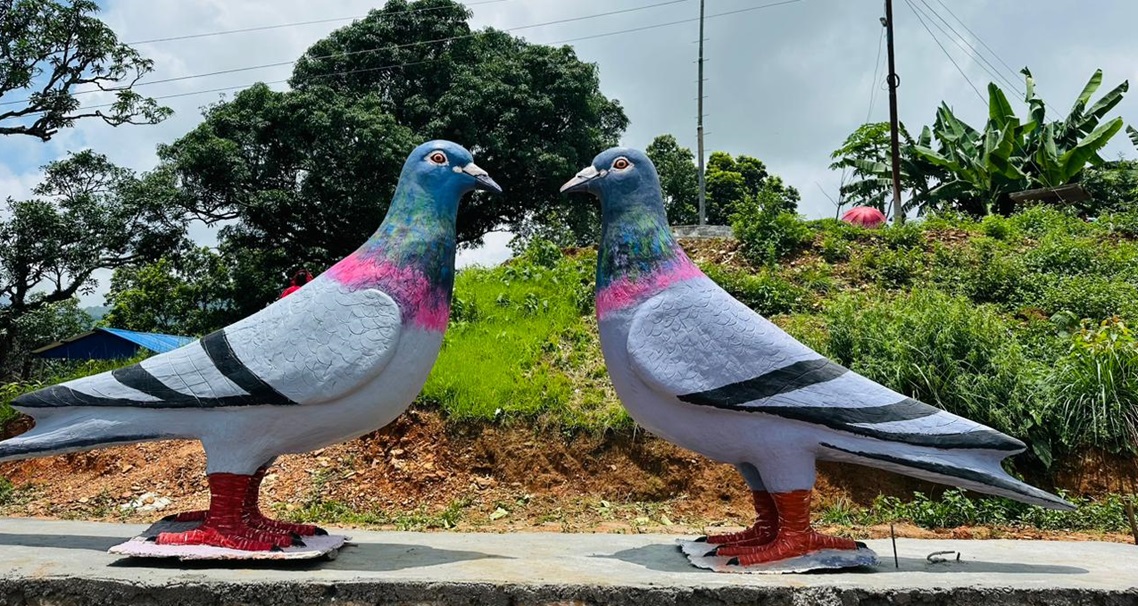 पर्यटक लोभ्याउँदै सात लाखको ‘परेवा जोडी’