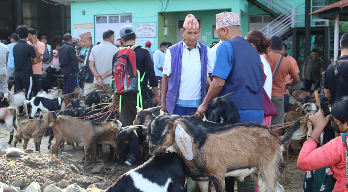 Khasi boka