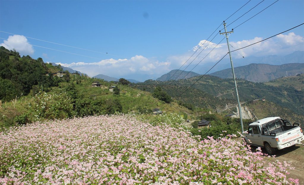 Myagdi electricity